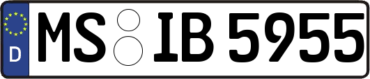 MS-IB5955