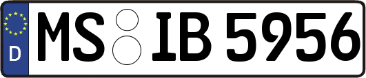 MS-IB5956
