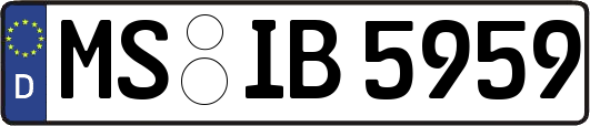 MS-IB5959
