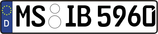 MS-IB5960