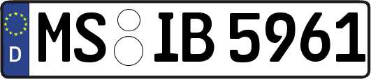 MS-IB5961