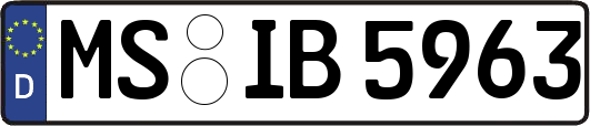 MS-IB5963
