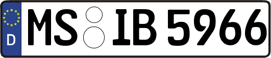 MS-IB5966