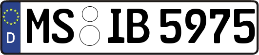 MS-IB5975