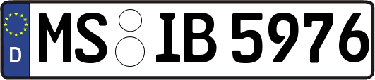 MS-IB5976