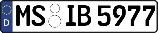 MS-IB5977