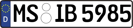 MS-IB5985