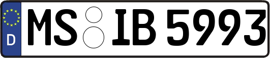 MS-IB5993