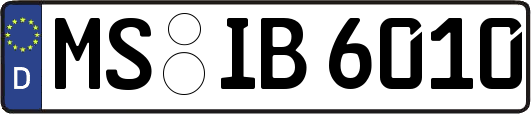 MS-IB6010