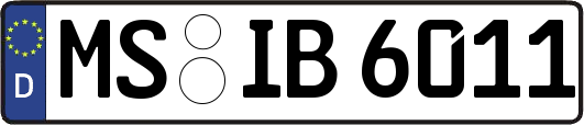 MS-IB6011