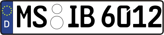 MS-IB6012