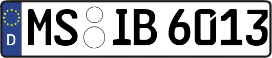 MS-IB6013