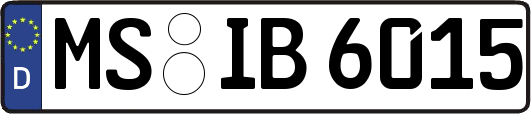 MS-IB6015