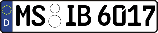 MS-IB6017