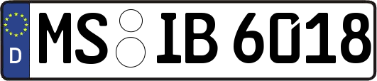 MS-IB6018