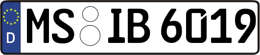 MS-IB6019
