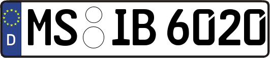 MS-IB6020
