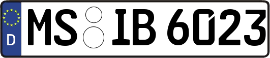 MS-IB6023