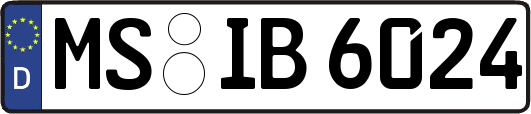 MS-IB6024