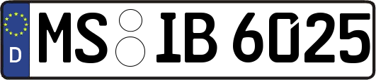 MS-IB6025