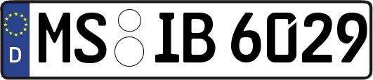 MS-IB6029
