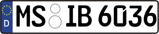 MS-IB6036