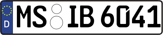 MS-IB6041