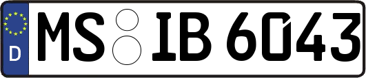 MS-IB6043