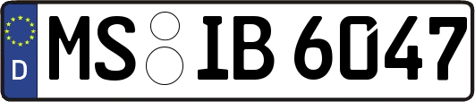 MS-IB6047
