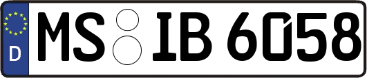 MS-IB6058