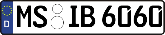 MS-IB6060