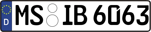 MS-IB6063