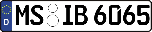 MS-IB6065