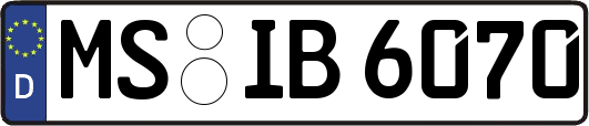 MS-IB6070