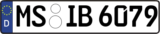 MS-IB6079