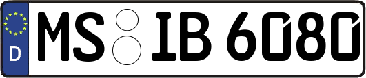 MS-IB6080