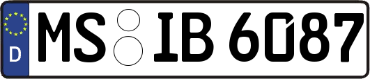 MS-IB6087