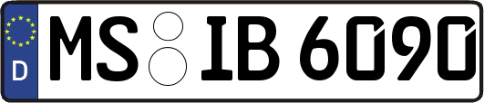 MS-IB6090