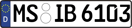 MS-IB6103