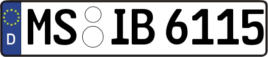 MS-IB6115