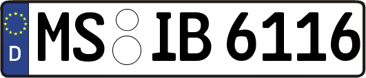 MS-IB6116