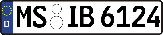 MS-IB6124
