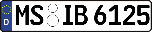 MS-IB6125