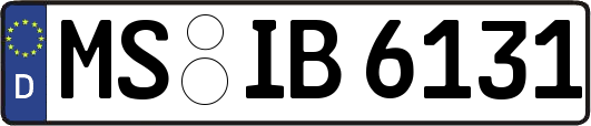 MS-IB6131
