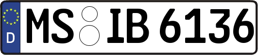MS-IB6136