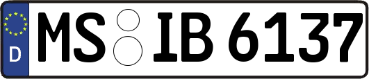 MS-IB6137