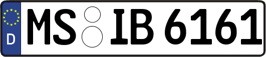 MS-IB6161