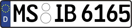 MS-IB6165