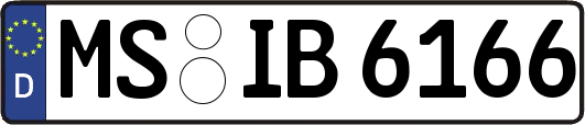 MS-IB6166