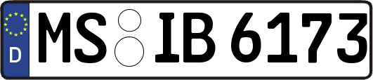 MS-IB6173